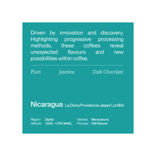 Load image into Gallery viewer, Nicaragua  La Divina Providencia Jasper Lot 864 Dripbag (10gx5s)
