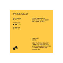 Load image into Gallery viewer, SummerBlast
